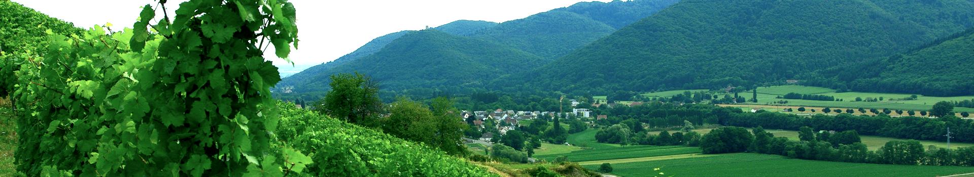Vallée de Munster - Les montagnes