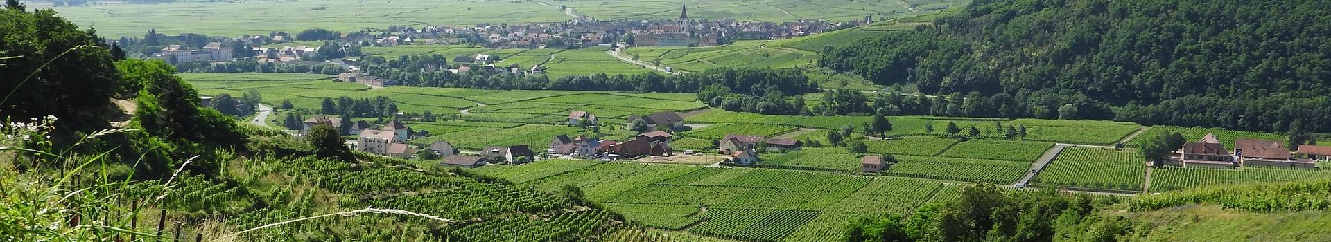 Camping du Moulin -Visitez la région Alsace